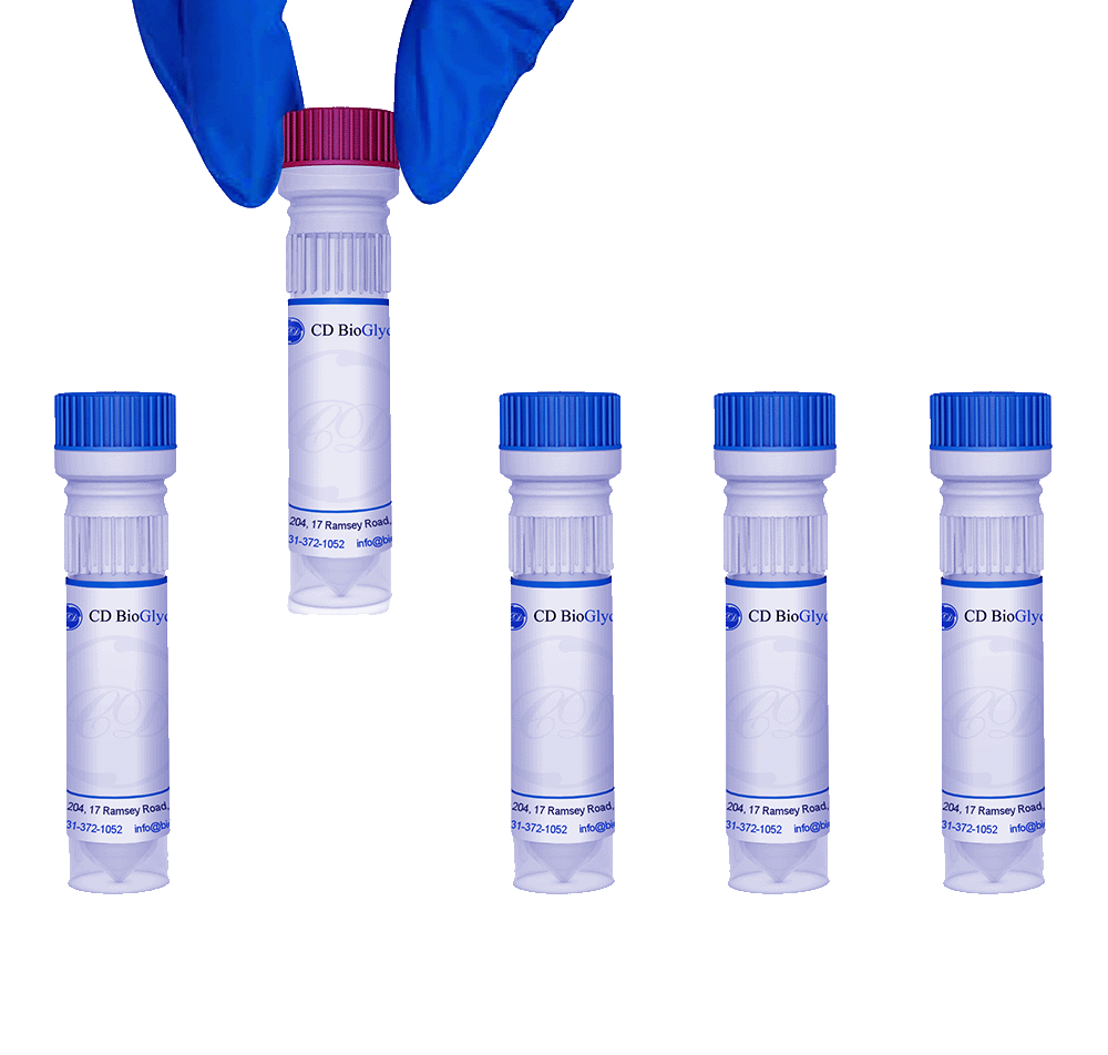 Ganglioside GM3, Monosialo, Ammonium Salt, Bovine Milk - CD BioGlyco