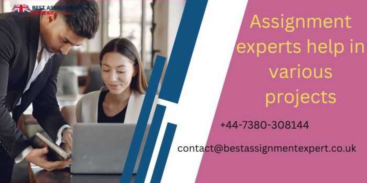 Assignment experts help in various projects