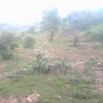 Dushimina Agiripine Profile Picture