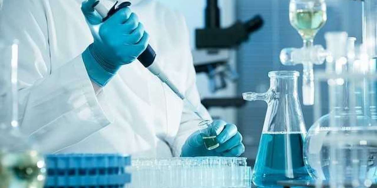 Clinical Laboratory Test Market Size, Share, Demand, Overview Component, Market Revenue, and the Industry Forecast 2032