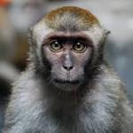 James Nate Profile Picture