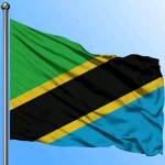 daudimjilima Profile Picture