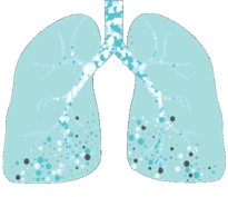 Lung Diseases - Creative Biogene