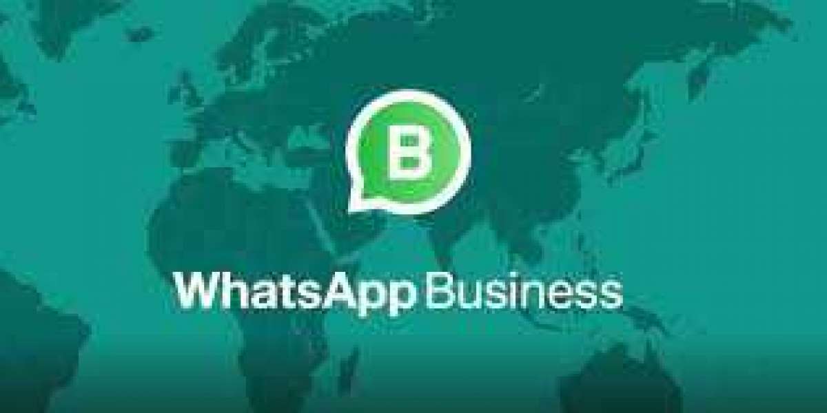 Whatsapp business transform your business