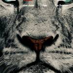 Said ALI Profile Picture