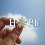 saifullah Profile Picture