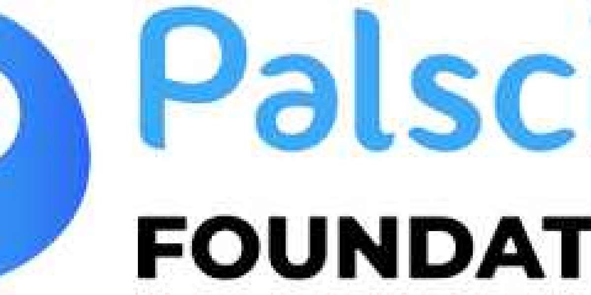Palscity foundation