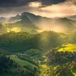 GASHIRABAKE John Profile Picture