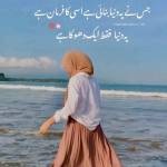 Shireen Arif profile picture