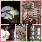 Abel Masoka Profile Picture