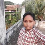 Abdul Malek Profile Picture