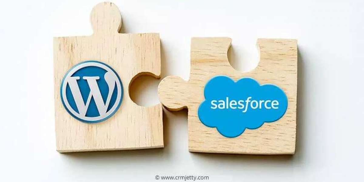 Things You Need to Consider While Integrating WordPress and Salesforce