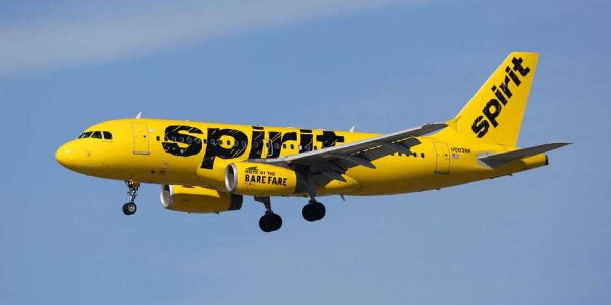 How do I Check My Reservation with Spirit Airlines Español?