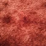 Jerrykims Profile Picture