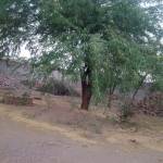 MFayaz Profile Picture