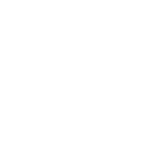 China Chunmee Green Tea, Gunpowder Green Tea, Special Tea Suppliers, Factory - GENERAL MOUNTAIN