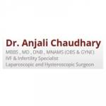 Dr. Anjali Chaudhary Profile Picture