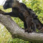 Yesenia Prada Profile Picture