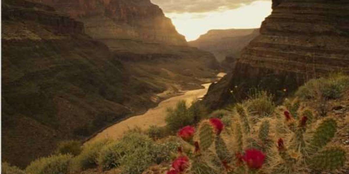 VALLEYS INFORMATION AND FACTS