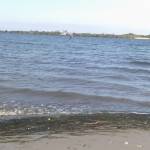 Beckamu Ng'umbi Profile Picture