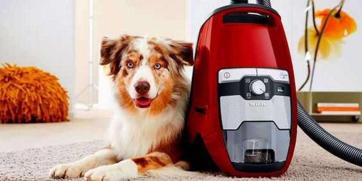 How to stop vacuum cleaner smelling of dog?