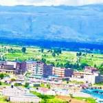 Alex Kariko Profile Picture