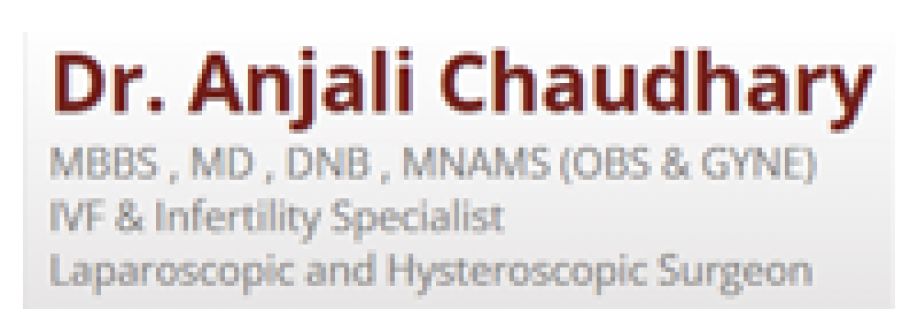 Dr. Anjali Chaudhary Cover Image