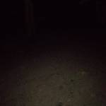 Deebee Profile Picture