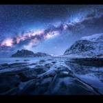 Gift Temu Profile Picture