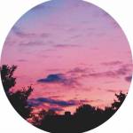 numb three Profile Picture