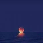 Clinton Ouko Profile Picture