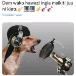 Ngaoboaz Profile Picture