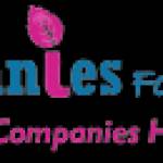 Companies Formations Profile Picture