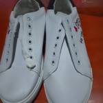 FREAKYWOLF Profile Picture