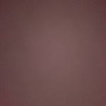 Brian Wafula Profile Picture
