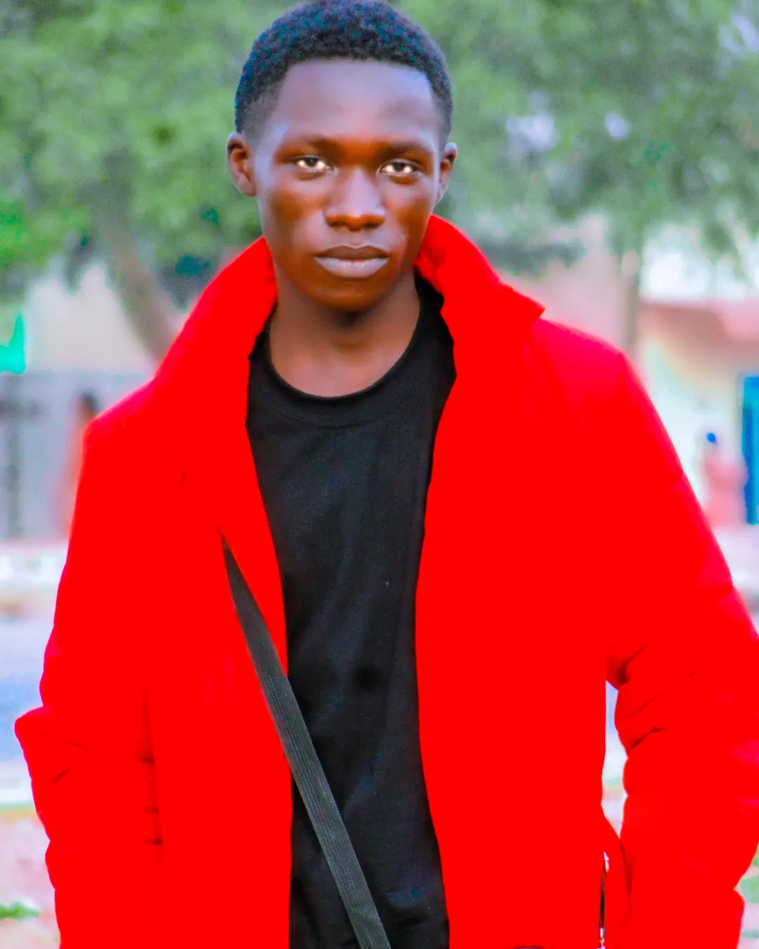 Oli Wisdom Profile Picture