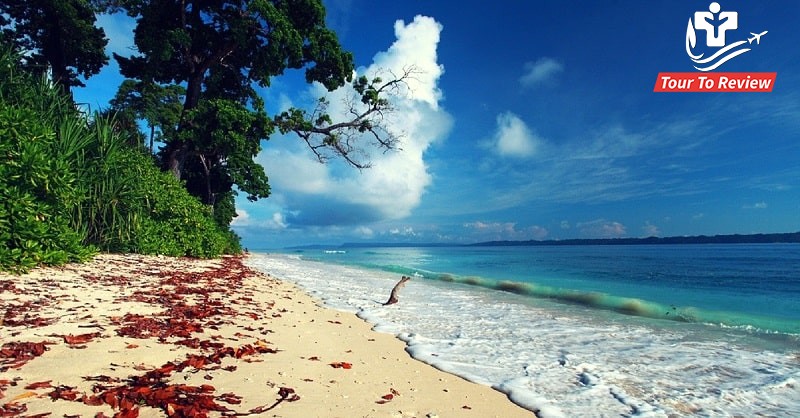 10 ultimate things to do in Havelock Island
