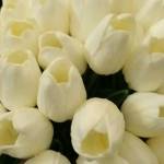 0776097382 Profile Picture