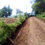 RamseyR Profile Picture