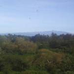 paul kibe Profile Picture