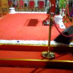 Vanie Profile Picture