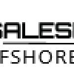 Salesforce Offshore Support Services Providers Profile Picture
