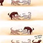 NELSONOSORO Profile Picture