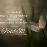 Julli Profile Picture