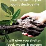 Rogers Otieno Profile Picture