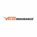 Velox Insurance Cheap Home Insurance Georgia Profile Picture