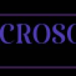 Microsoft Dynamics Profile Picture