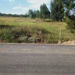 Charles Mboko Profile Picture