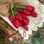 Salwa Hassan Profile Picture