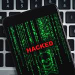 Olivia Winslet Profile Picture